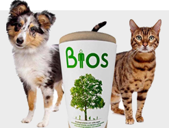 Urnas mascotas biodegradable