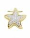 Joyería para ceniza oro amarillo y oro blanco 14k 'Estrella' (31 diamantes / 0.035 crt.)