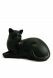 Urna gato de color negro