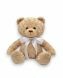 Urna de osito de peluche