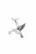 Joyería para ceniza 'Colibrí'