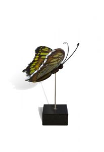 Miniurna funeraria mariposa