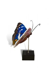 Miniurna funeraria mariposa