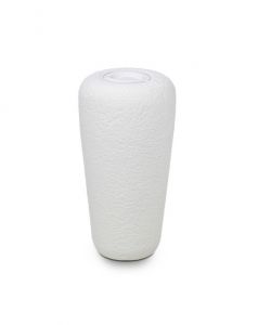 Urna biodegradable del mar blanco