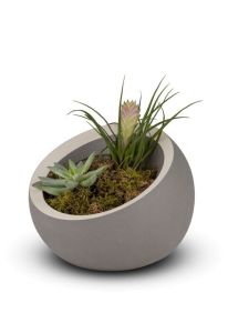 Urna funeraria de porcelana « Terra » - gris oscuro con acento blanco