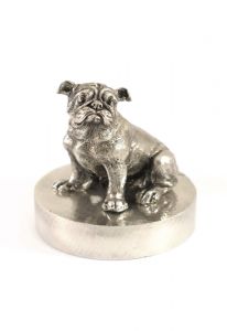 Urna de plata bulldog estaño