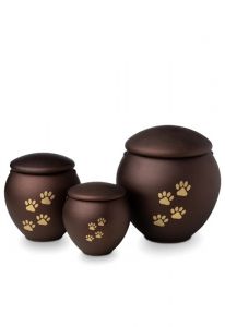 Urna mascota marrón con patas oro