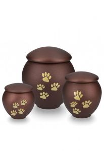 Urna mascota marrón con patas oro