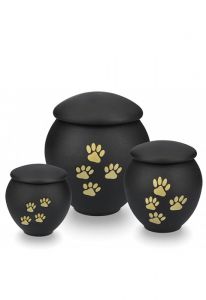 Urna mascota negra con patas oro