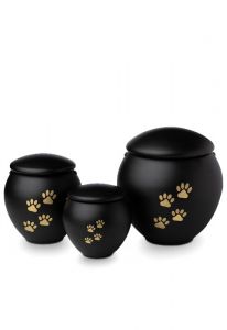 Urna mascota negra con patas oro
