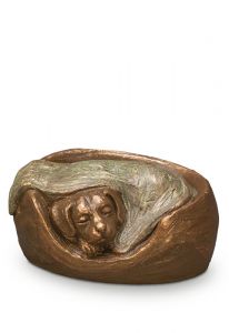 Urna mascota 'Perro durmiendo'