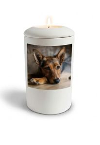 Urna funeraria blanca satinada para perro con imagen, personalizable