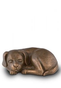 Urna para perros 'Perro dormido'