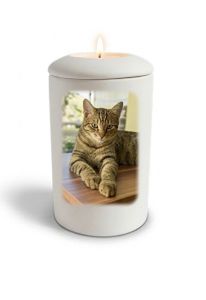 Urna funeraria blanca satinada para gato con imagen, personalizable