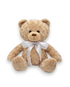 Urna de osito de peluche