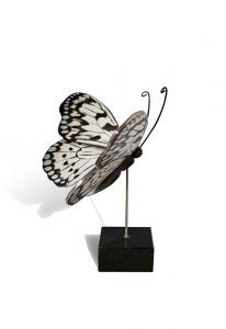 Miniurna funeraria mariposa
