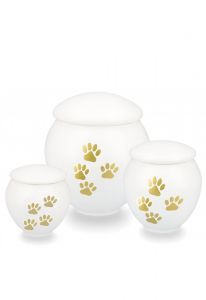 Urna mascota blanca con patas oro