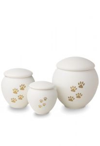 Urna mascota blanca con patas oro