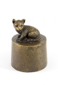 Pequeño gato sentado en unaurna de bronce