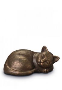 Urna mascota