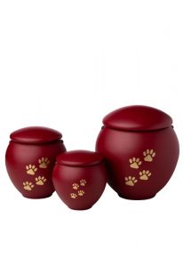 Urna para cenizas de mascotas rojo con patas oro
